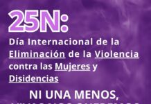 Día Internacional de la Eliminación de las Violencias hacia las Mujeres y Diversidades